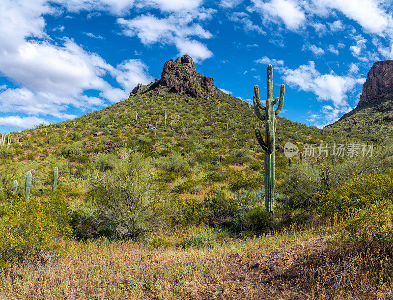 Picacho Peak州立公园